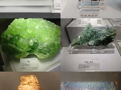 -湖南省地质博物馆