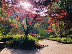 -缙云山景区