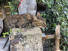 -龙华寺