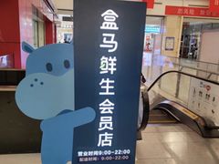 -盒马鲜生(大成店)