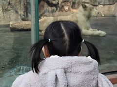 -南昌动物园