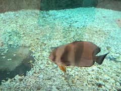 -波塞冬旅游度假区