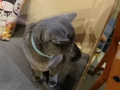 -小时光咖啡馆(开森度假森林店)