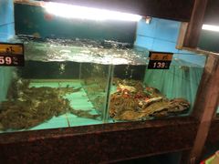 水产区-五四北海鲜吧火锅(秀山路店)