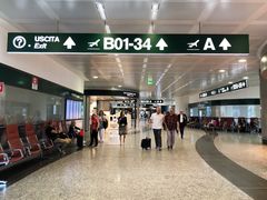 -米兰马尔彭萨国际机场