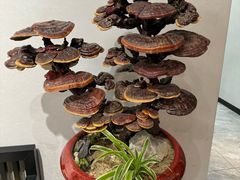 -卢小厨私房菜(长兴店)