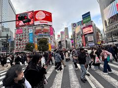 -涩谷全向十字路口