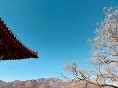 -泰山风景名胜区