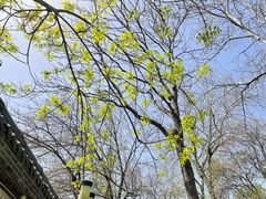 -教师之家赵家羊汤馆(东青龙街店)