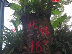 -呀诺达热带雨林