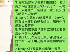 -虹泰宠物医院 ·旗舰店·24h(南秀路店)