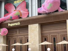 -帕帕拉兹宠物(亚洲旗舰店)