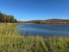 -鑫诚筋饼王(红旗小区店)