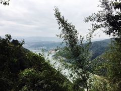 -铁山坪森林公园