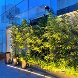 深圳最强川菜？