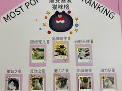 -PO PARK东方宝泰