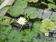 -国家植物园南园