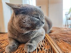 -Me Coffee下午茶艺术空间