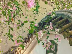 -深圳国际园林花卉博览园