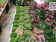 -秦美花卉(天朗·莱茵小城2期店)