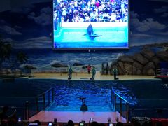 -福州罗源湾海洋世界旅游区