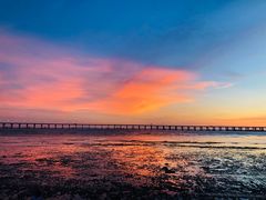 -宝安西湾红树林湿地公园