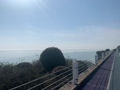 -贡湖湾湿地公园