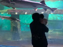 -重庆欢乐海底世界