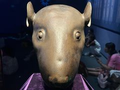 -广西壮族自治区博物馆