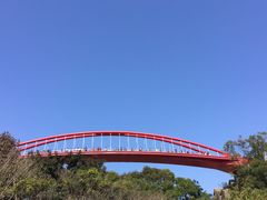 -金鸡山公园