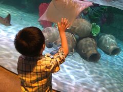 -沈阳海洋探索中心