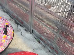 -沈阳奥体冰雪嘉年华