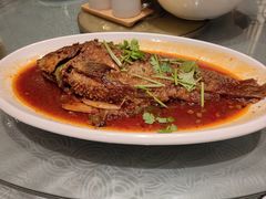 -真定郝家排骨(正定县总店)