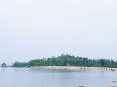 -瑶湖郊野森林公园