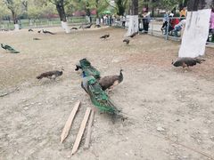 -秀丽东方