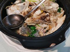 -华南师范大学石牌校区陶园