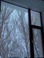 -皇家月府月子中心(沈阳店)