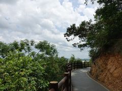 景点-羚羊峡古栈道森林公园