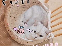 -星巴克(上海虹桥站2A检票口)