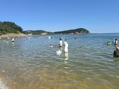 -广鹿岛