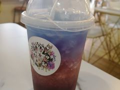 -Husky Go! 哈士奇体验馆·宠物咖啡厅狗咖