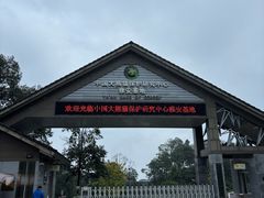 -中国大熊猫保护研究中心雅安碧峰峡基地