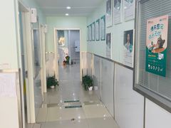 -佳雯宠物医院(金华南路分院)