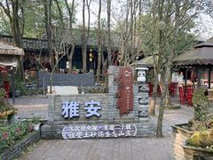 -土砂锅生态山庄·非遗砂锅雅鱼
