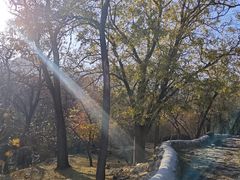 -阳台山自然风景区