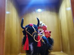 -如意林卡藏餐吧(大昭寺店)