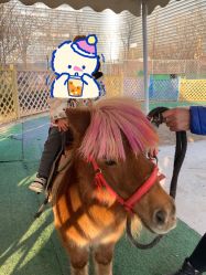 -萌宠亲子动物乐园(槐房万达店)