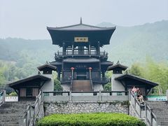 -大唐贡茶院