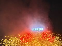 -武汉园博园(武汉自然博物馆)