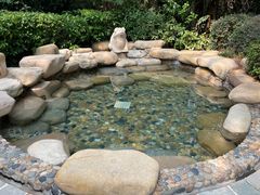 -天目湖涵田半山温泉